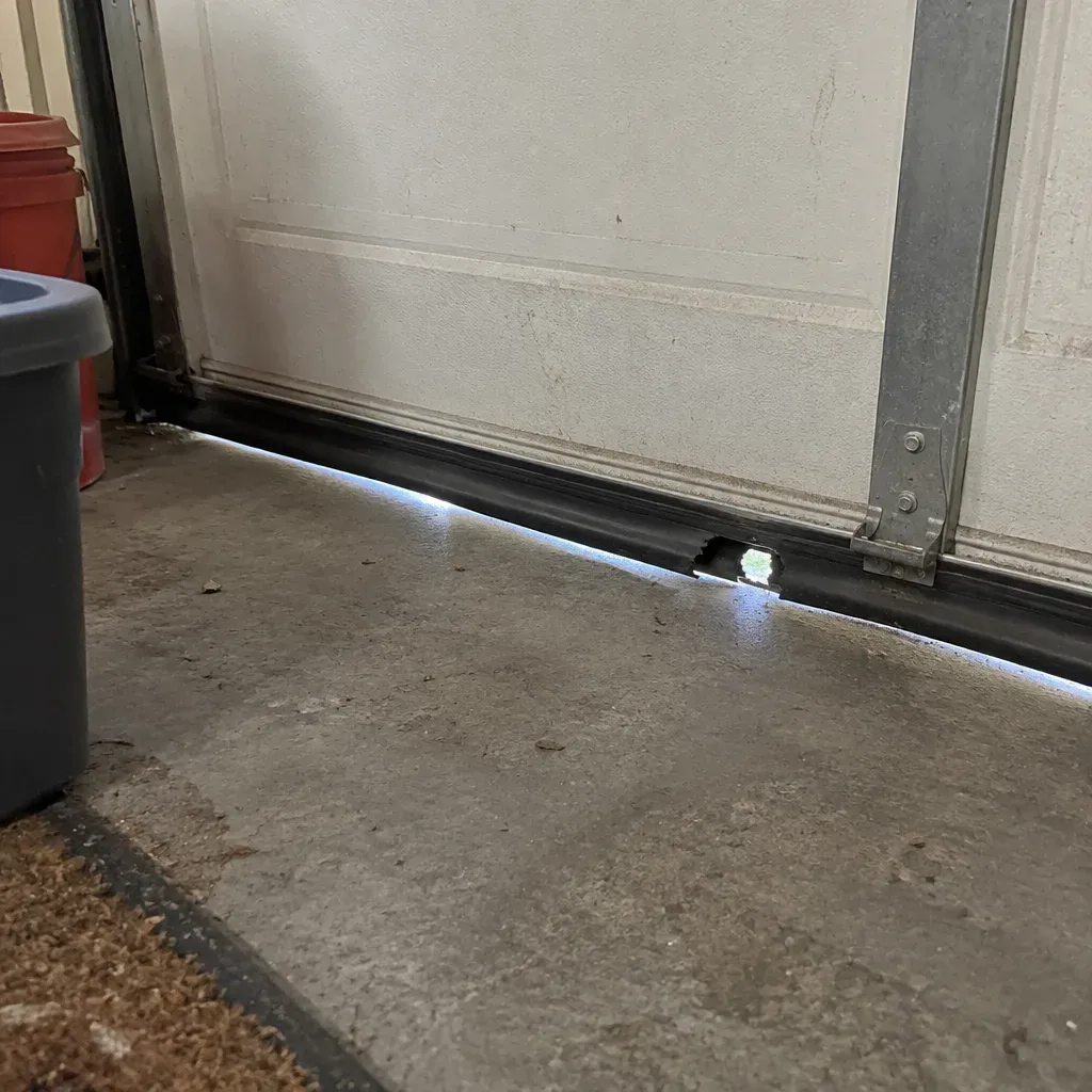 Rodent control methods in the United States